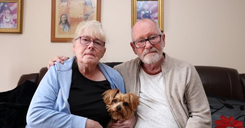 Owner of XL Bully which savaged elderly couple's dog to death had already been 'warned'
