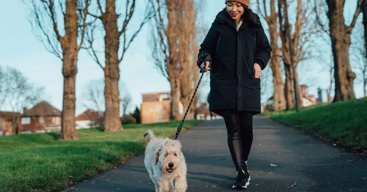 Top 5 UK cities for spring dog walks unveiled - and there's a clear winner