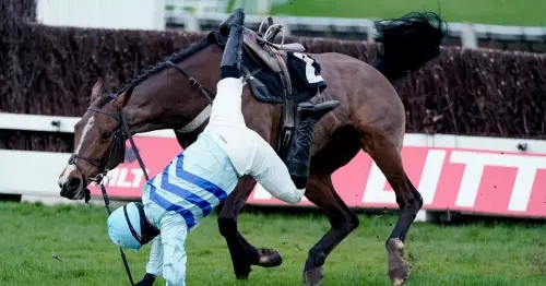 Jockey thumps ground in frustration after he's thrown off 1-100 horse in final fence drama
