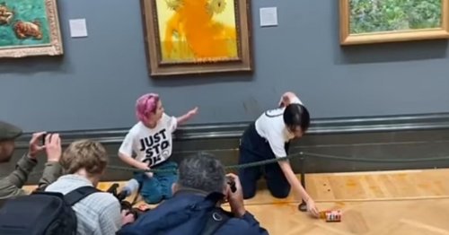 Just Stop Oil Activists Throw SOUP Over Van Gogh s Iconic Sunflowers 