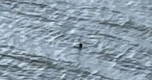 Loch Ness Monster 'spotted' for first time in 2024 as family snap 'compelling' photo