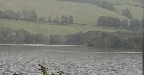 Latest Loch Ness Monter sighting 'clearest yet' after first photo 90 years ago