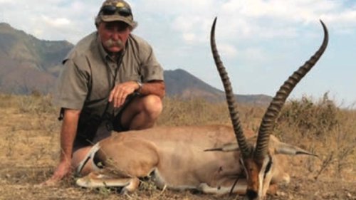 Millionaire trophy hunter, 75, trampled to death by angry elephants during African hunt | Flipboard