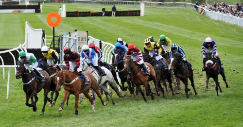 Newsboy's horse racing selections for Wednesday's five meetings, including Perth Nap