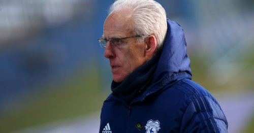 Mick McCarthy responds to claims Cardiff owner told fans he wants new manager