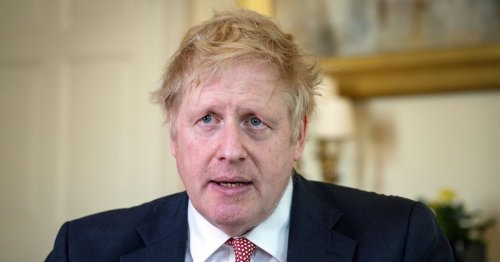 Boris Johnson 'planned to build £150,000 treehouse for son Wilf' at Chequers