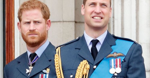 Prince Harry and William reconciliation spotted by eagle-eyed royal fans