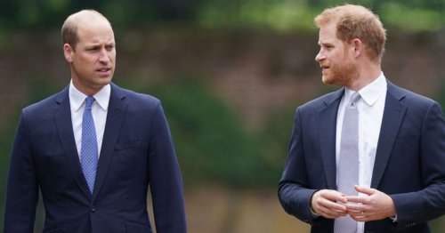 Prince Harry gave blunt two-word answer to reject meeting with brother William, claims book