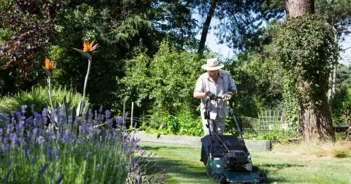 Exact date to mow your lawn after winter - gardening expert's tips on cutting grass