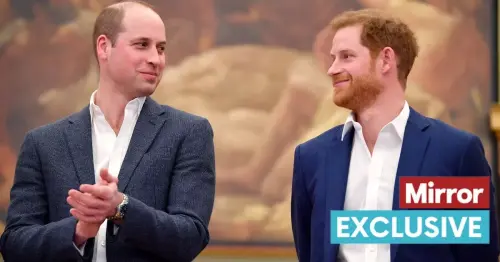 Harry and William urged to 'let feuds go' together amid King Charles' cancer diagnosis