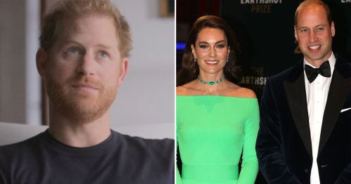 Netflix viewers spot Prince Harry's 'cruel' swipe at brother William over Kate Middleton