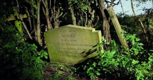 Mystery of 'rare' war grave described as 'one of most interesting' in UK
