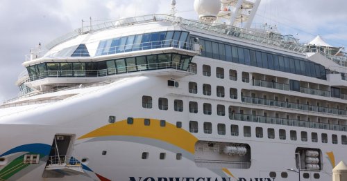 'Cholera outbreak' cruise passengers speak of their ordeal as ship finally allowed to dock