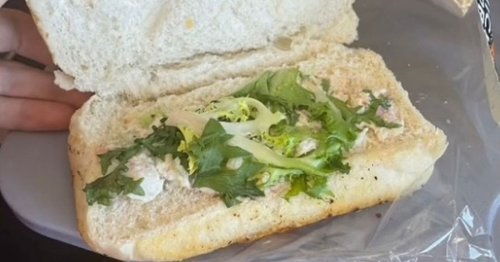 Jet2 passenger slams airline as 'meagre' sandwich left her 'so hungry' on flight