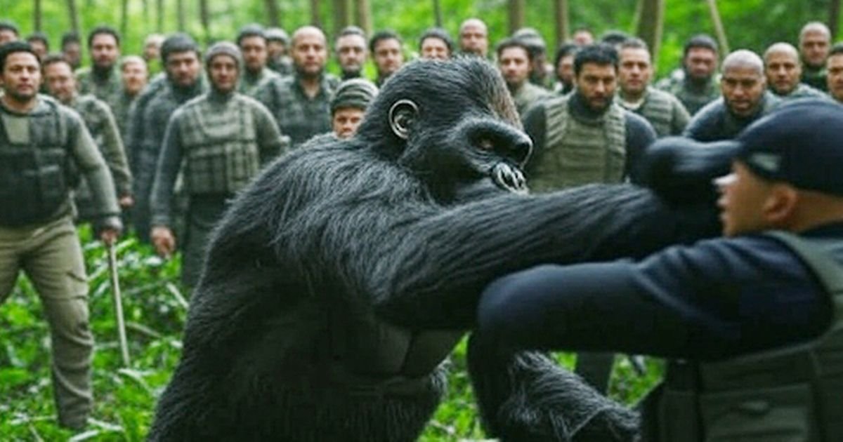 Viral battle of 100 men vs one gorilla goes viral - here's what you need to know