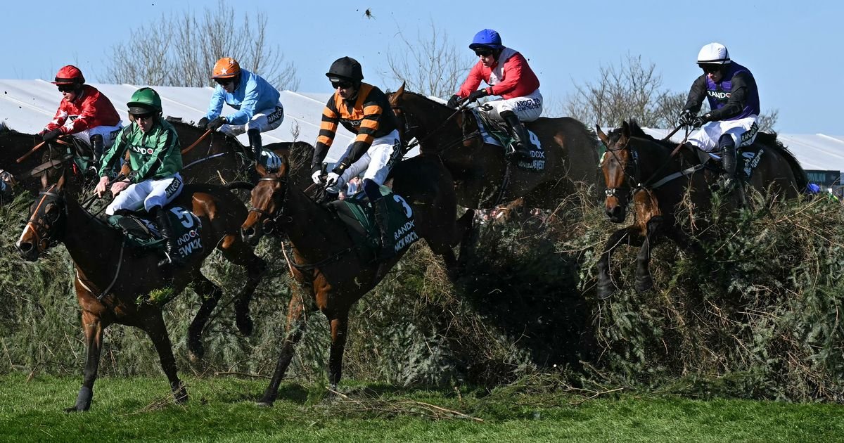 Did any horses die in the Grand National? Aintree bosses offer update