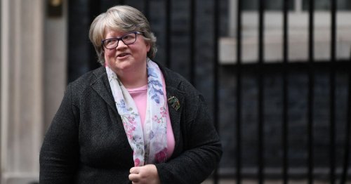 'No wonder dumb-loyal Bojo babe Therese Coffey got Universal Credit sums wrong'