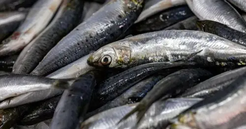 Man vacationing in France eats sardines at fancy cafe - now he 'can't see or speak'