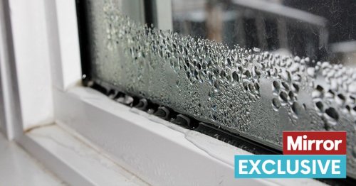 Condensation expert shares major 'red flags' that indicate excess moisture in your home