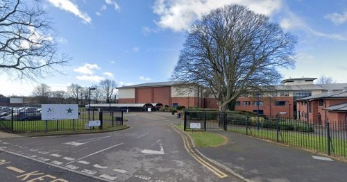 1,300 pupils evacuated from school after it shuts due to false widow sighting