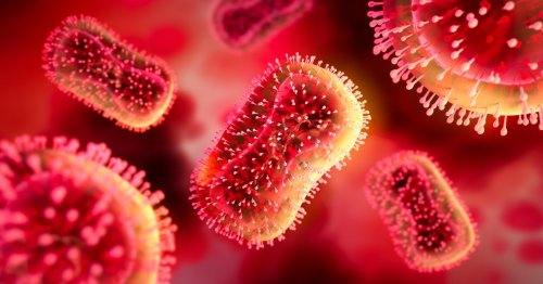 UK hospital urgently tracing anyone in contact with A&E patient with rare virus