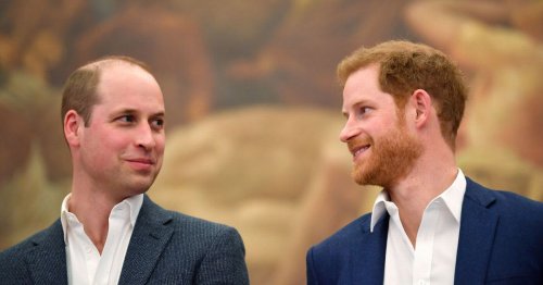William name-checks Harry during Diana statue speech in rare show of unity
