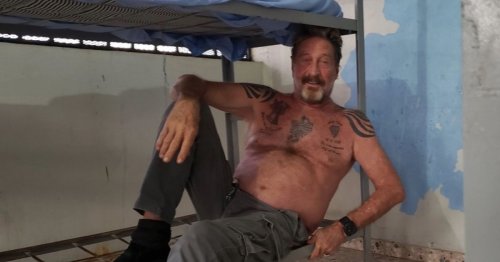 British computer genius who founded McAfee Antivirus found dead in prison cell