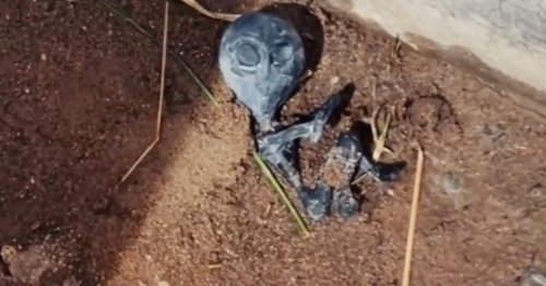 Villagers claim baby alien died after UFO landing before body mysteriously vanished