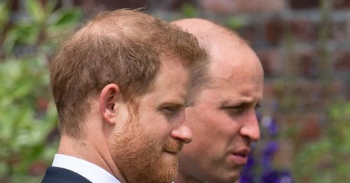 'William has to strip Harry and Meghan of their titles - he has no other choice'