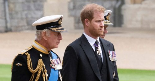 Prince Harry takes swipe at King Charles with stinging comment on who 'brought him up'