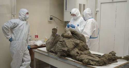 Russia to unlock 50,000-year-old prehistoric viruses from buried creatures