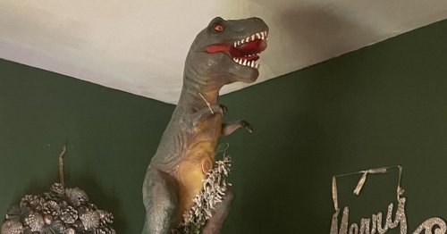 Mum ordered tiny star decoration for tree but got giant T-Rex - and now can't remove it