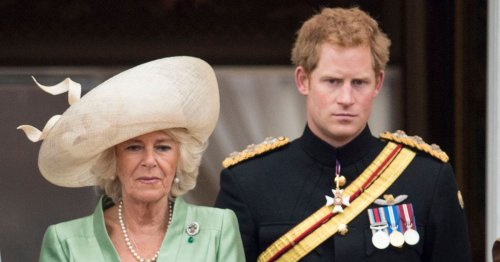 Prince Harry may 'avoid bowing' to Camilla if he ends up at Coronation, claims source