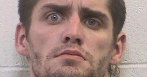 Man accused of having sex with horse 'escapes jail' - but only makes it a mile
