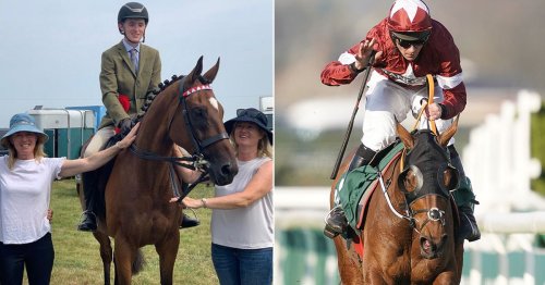 Watch as retired Grand National legend Tiger Roll wins his class at a local show