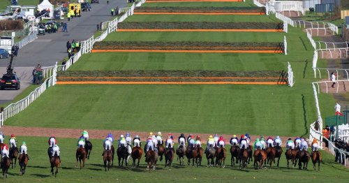 Grand National tips for Aintree