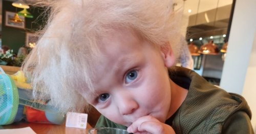 Toddler, 3, shares uncanny resemblance to Boris Johnson over uncontrollable hair