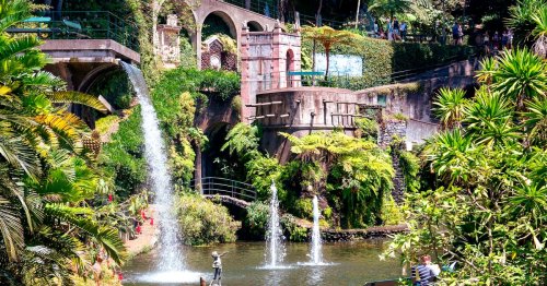 Beautiful botanic gardens around the world from Italy to Tenerife