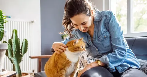 'My aunt said I'm too attached to my cat - so I kicked her out my home'