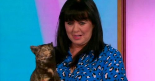 Loose Women fans' horror as Coleen brings out stuffed cat branded 'stuff of nightmares'