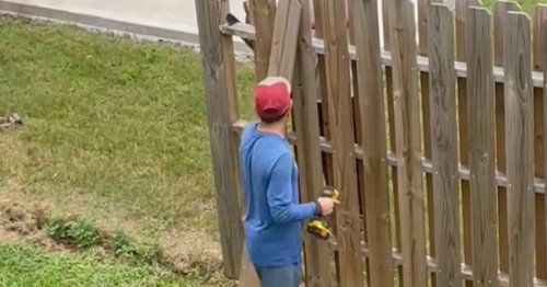 Homeowner takes revenge after neighbour builds fence through part of his garden