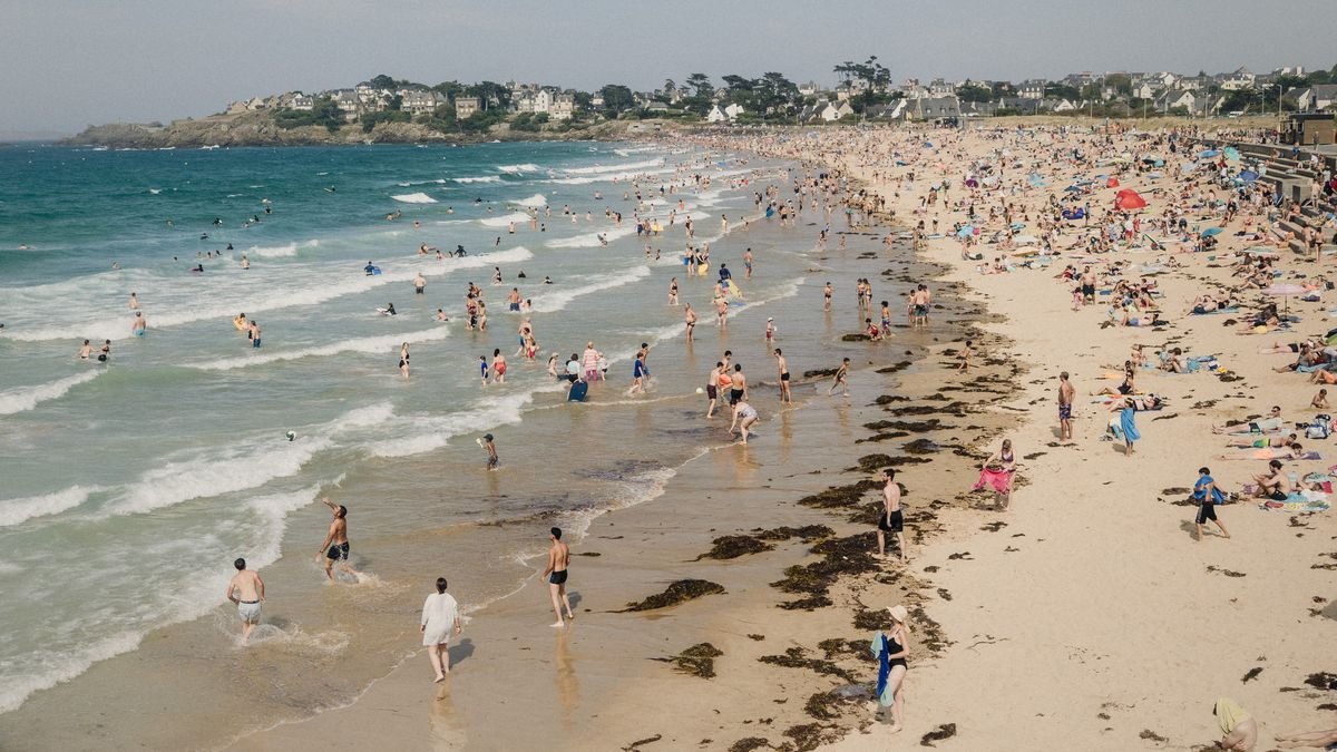 'Free' holiday souvenir could quietly land tourists a £1,300 fine