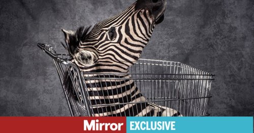Shocking images show vile souvenirs created by trophy hunters from holiday kills