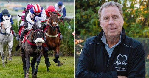 Harry Redknapp misses £18k Cheltenham win with Back On The Lash after calendar mix-up