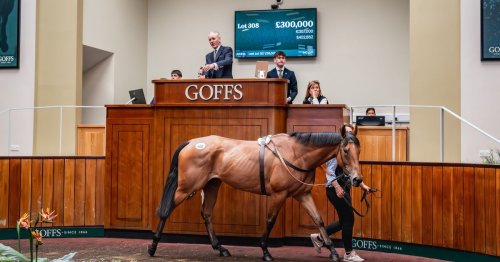 Little-known trainer's joy as Willie Mullins swoops to buy his stable star for £300,000