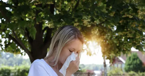 Is it hay fever, a spring cold or Covid? NHS experts share important clues