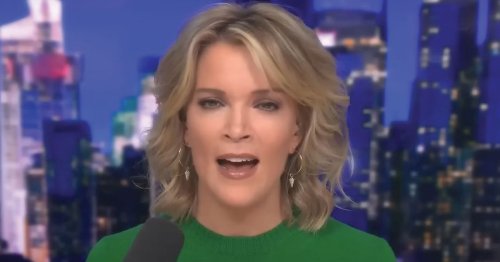 Megyn Kelly slams Kardashian family as a 'force for evil' who have 'disgusting vanity'