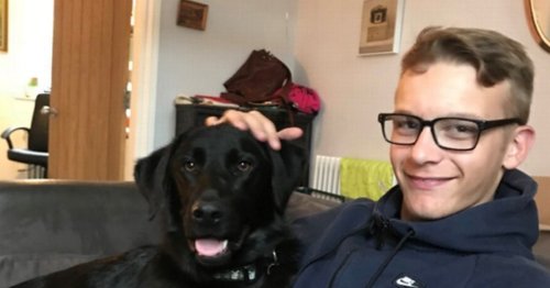 'Adored' boy dies in fatal smash as collision sees bike and tractor collide