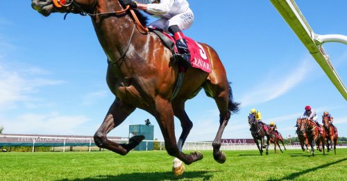 Five best bets for Newmarket July Festival including 14-1 each-way selection