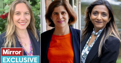 Meet the mums standing for Parliament under plan to tackle toxic Commons culture
